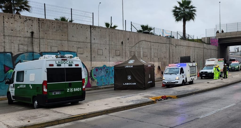 Robo InDriver Robo InDriver