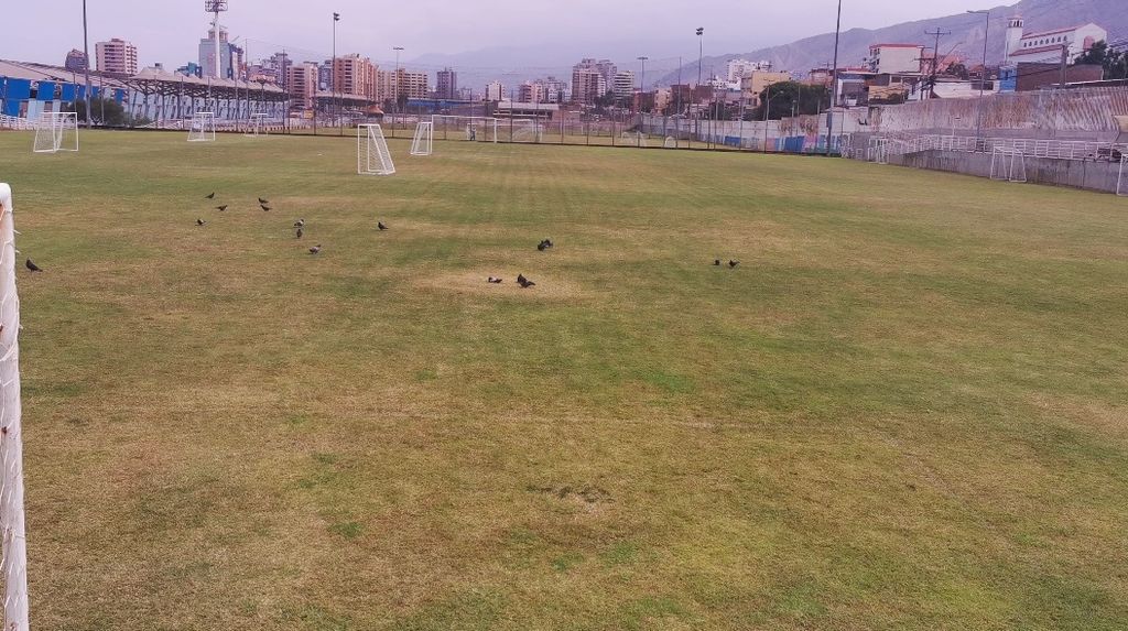 Denuncia Estadio Regional Calvo y Bascuñán Denuncia Estadio Regional Calvo y Bascuñán