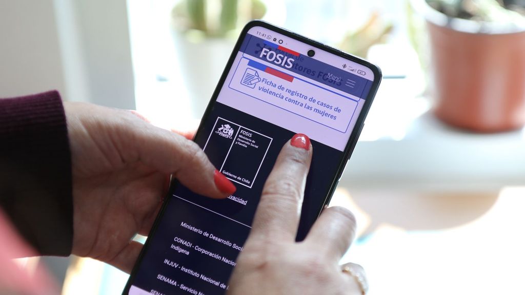 Fosis violencia de género Fosis violencia de género