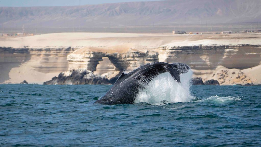 Bahía de San Jorge Antofagasta