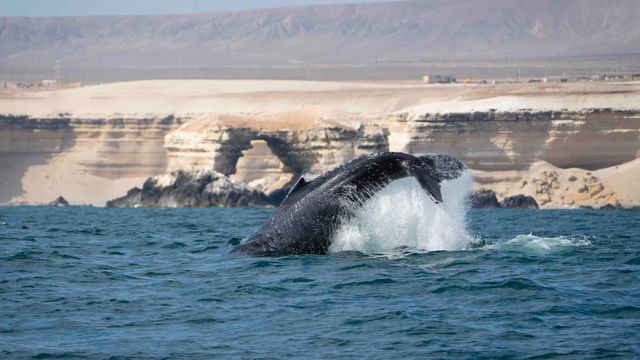 Bahía de San Jorge Antofagasta