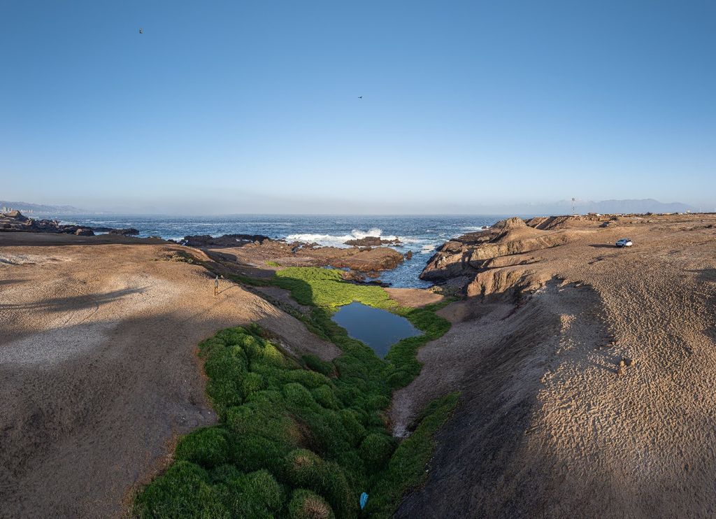 Humedal La Chimba Humedal La Chimba