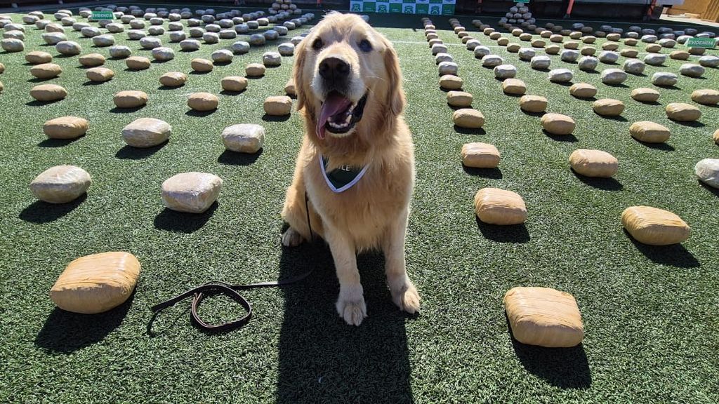 Carabineros Región de Antofagasta Carabineros Región de Antofagasta