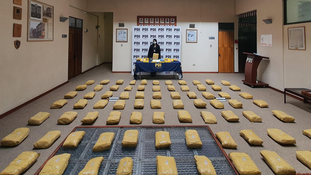 Incautan 130 kilos de drogas en Antofagasta Incautan 130 kilos de drogas en Antofagasta