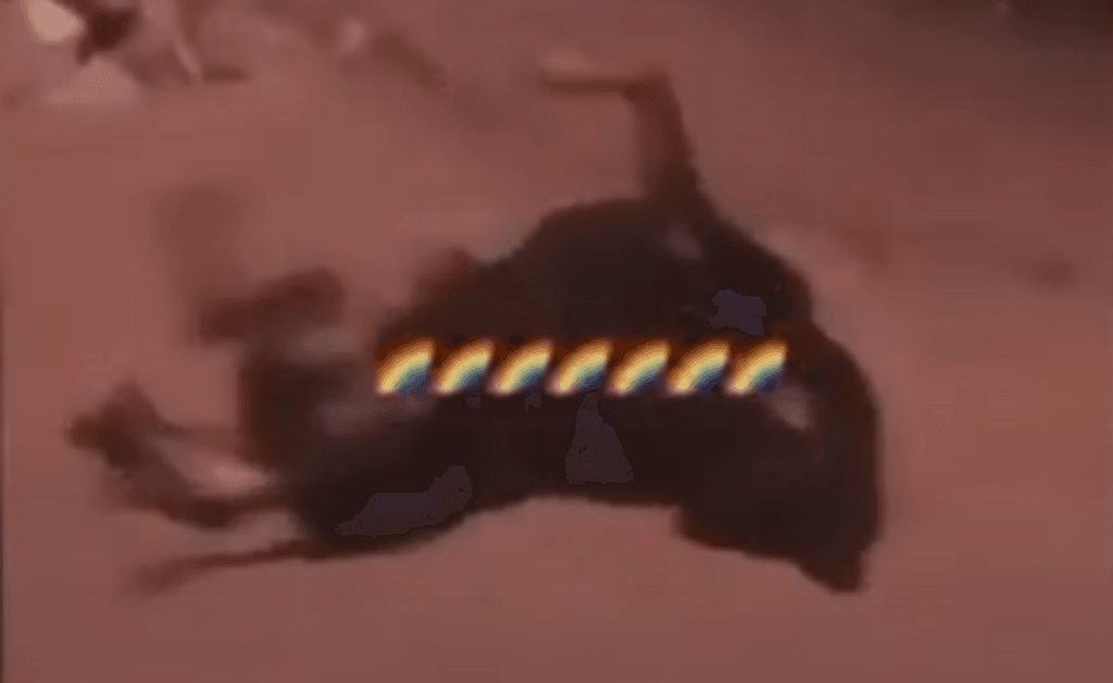 Perro drogado Perro drogado