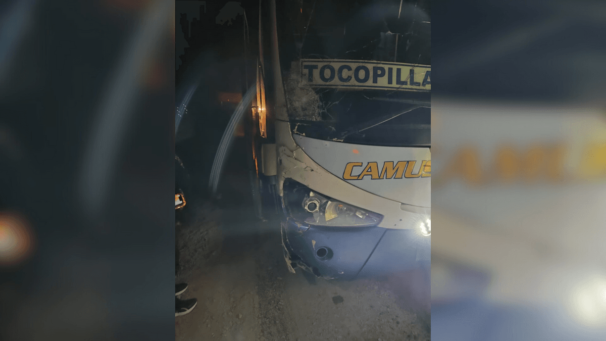 Peatón muere al ser atropellado por bus en Ruta 1 Norte Peatón muere al ser atropellado por bus en Ruta 1 Norte