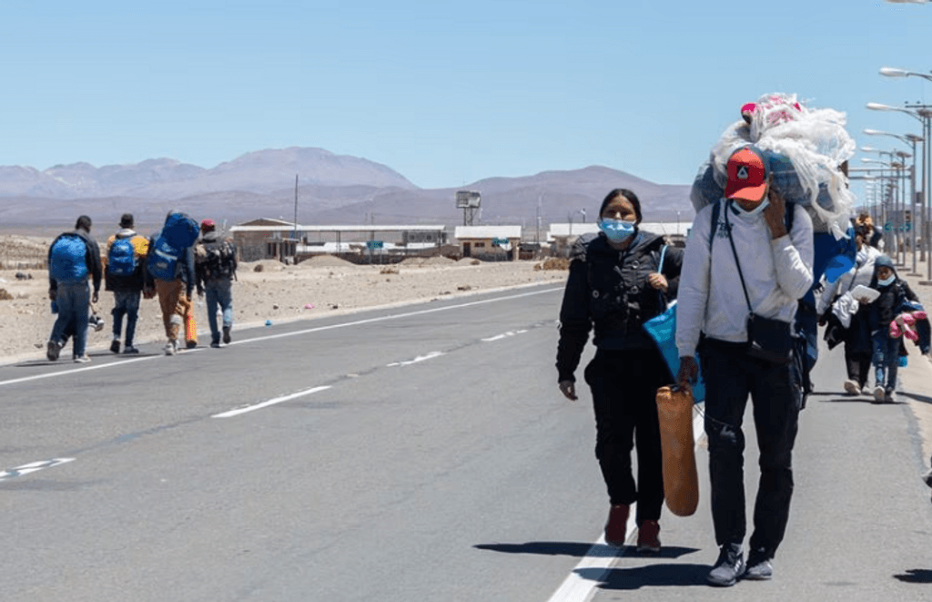 Migración Migración