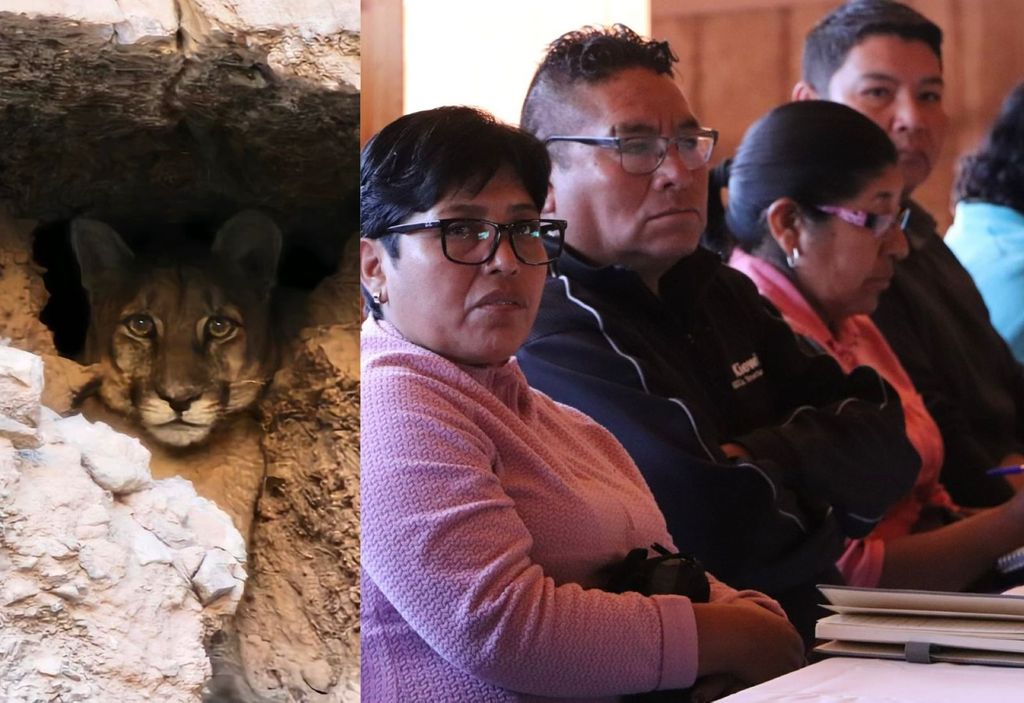 Imagen Referencial Puma - Reunión Municipalidad de Calama Imagen Referencial Puma - Reunión Municipalidad de Calama