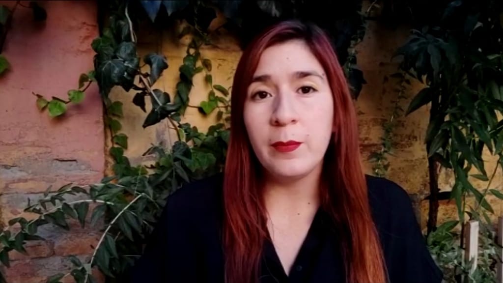 Diputada Catalina Pérez Diputada Catalina Pérez