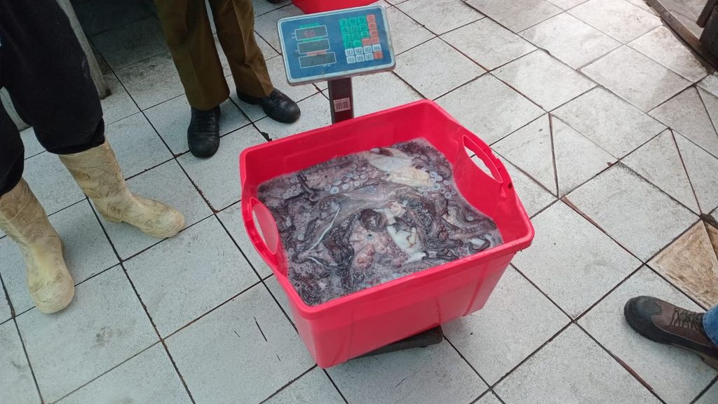 Sernapesca Sernapesca