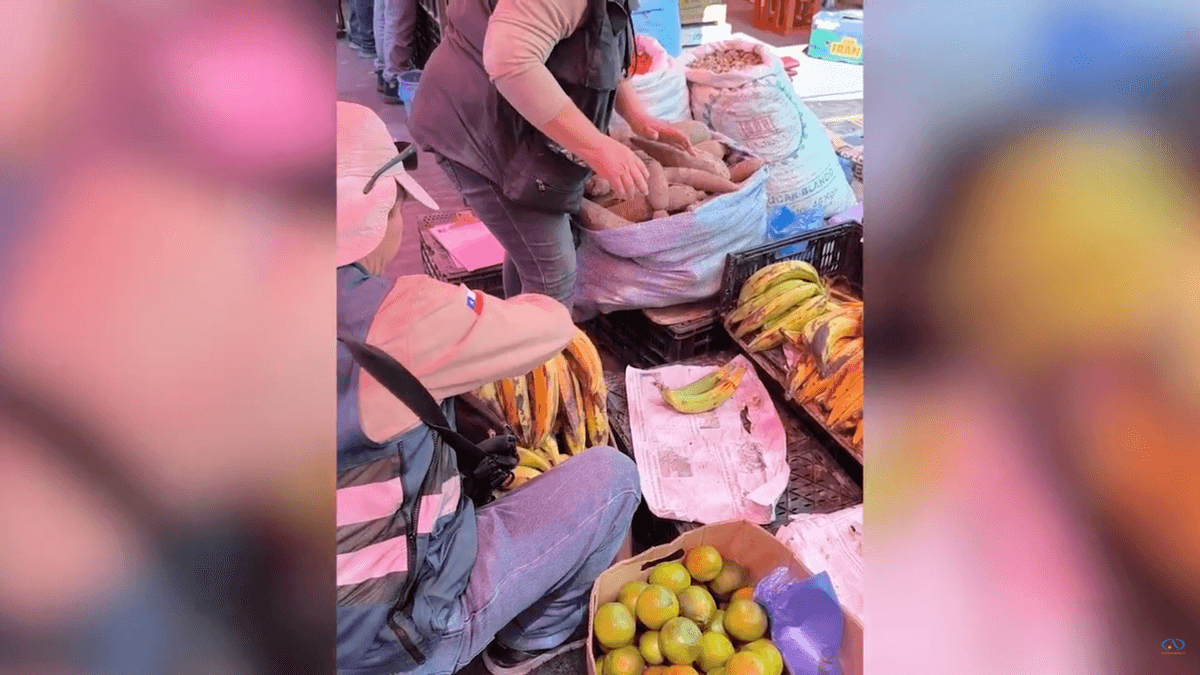 Decomisan cuatro toneladas de alimentos en Calama Decomisan cuatro toneladas de alimentos en Calama