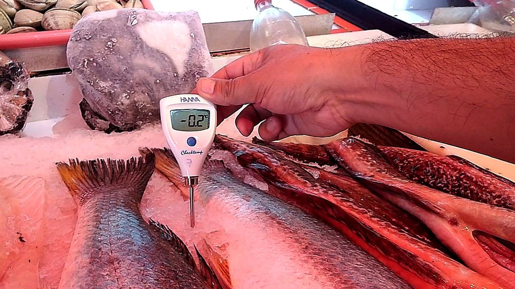 Fiscalización pescados y mariscos Fiscalización pescados y mariscos