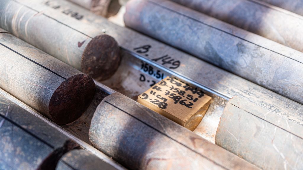 20251021 - Cachorros-25 20251021 - Cachorros-25