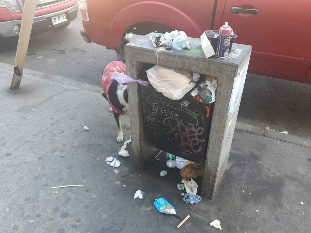 Basura en las calles Basura en las calles