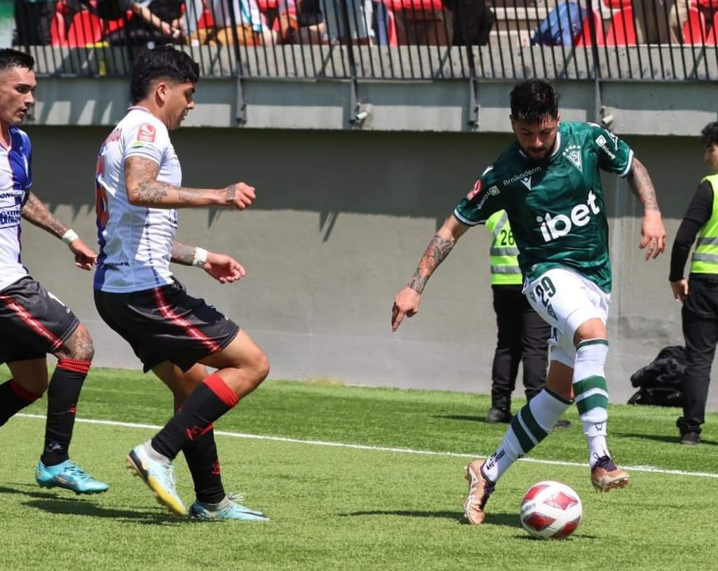 1000033995 1000033995