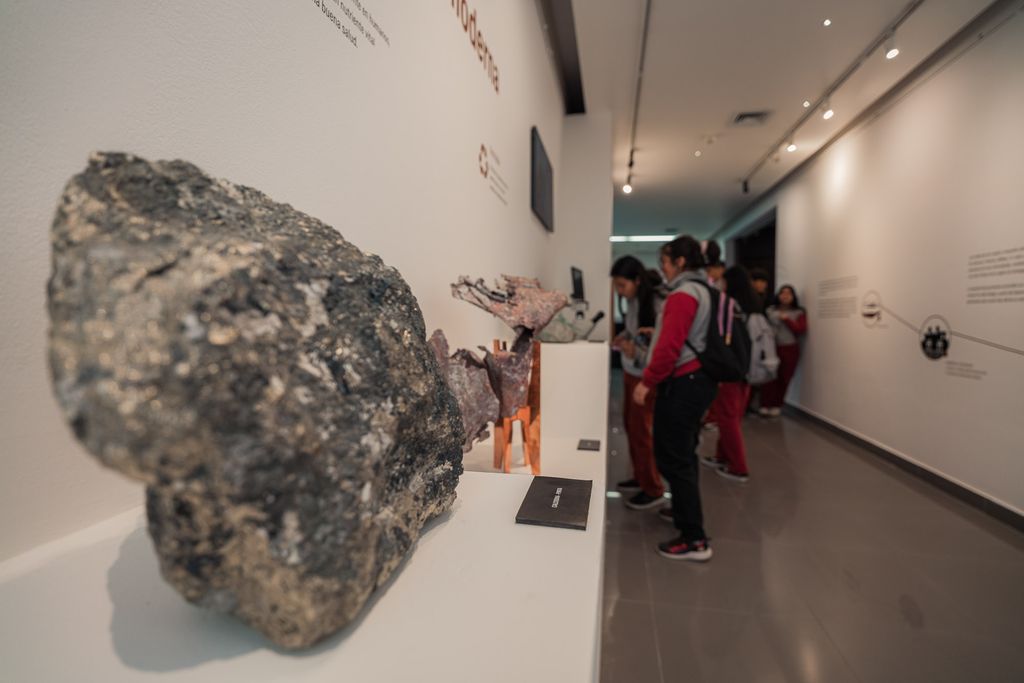 Exposición "Testigos: Recursos para hoy y el futuro" Exposición "Testigos: Recursos para hoy y el futuro"