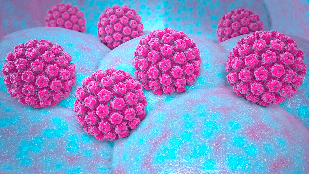 virus-papiloma virus-papiloma