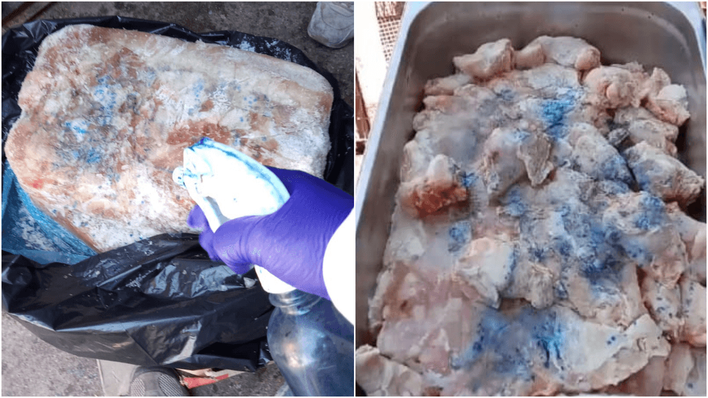 carne maria elena carne maria elena