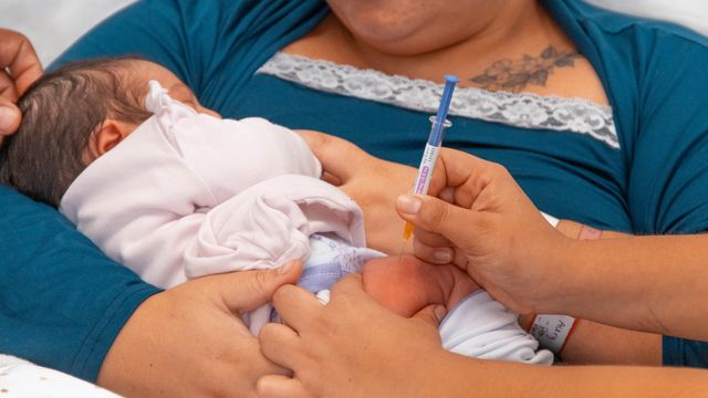 Vacunación Vacunación