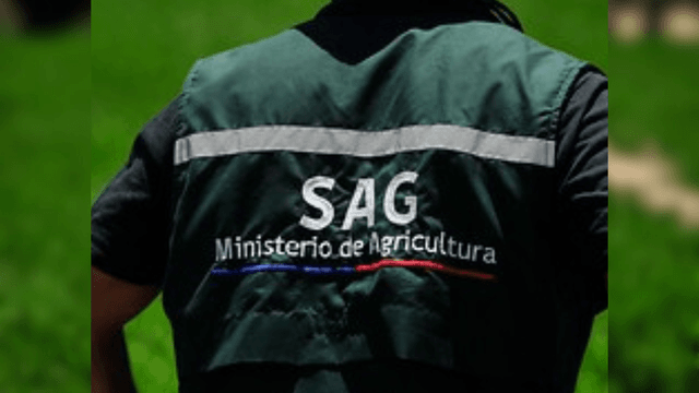 SAG