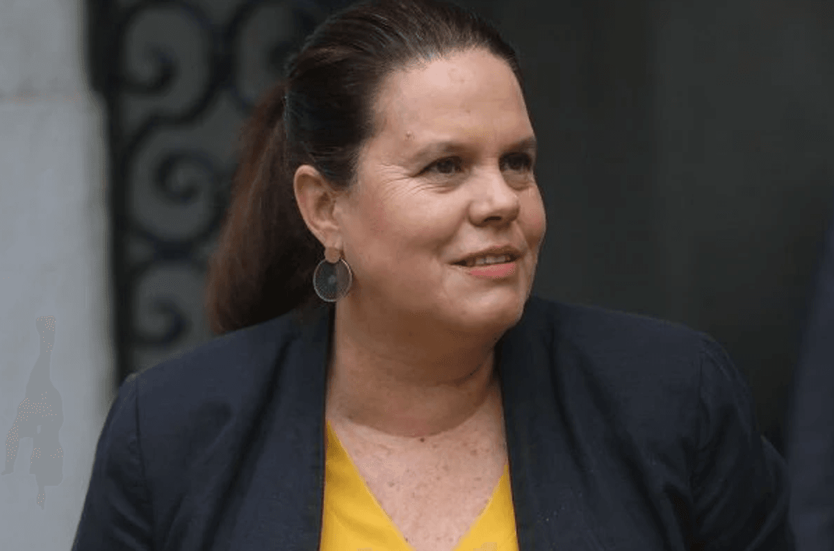 Gabriel Boric nombra a Adriana Delpiano en reemplazo de Maya Fernández Gabriel Boric nombra a Adriana Delpiano en reemplazo de Maya Fernández