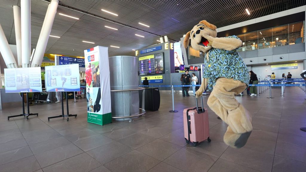 Sagüeso plan mascotas aeropuerto Sagüeso plan mascotas aeropuerto