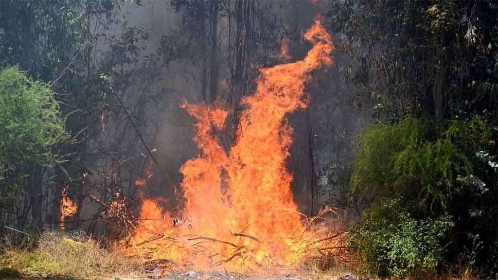 incendios forestales chile incendios forestales chile
