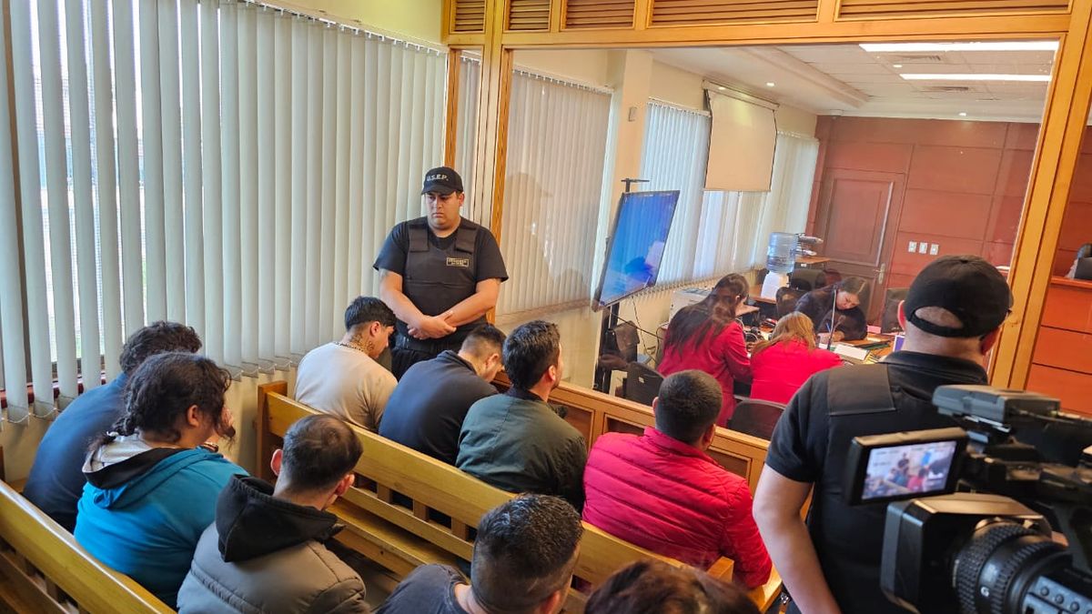 15 miembros de banda en Antofagasta quedan en prisión preventiva por falsificación de patentes 15 miembros de banda en Antofagasta quedan en prisión preventiva por falsificación de patentes