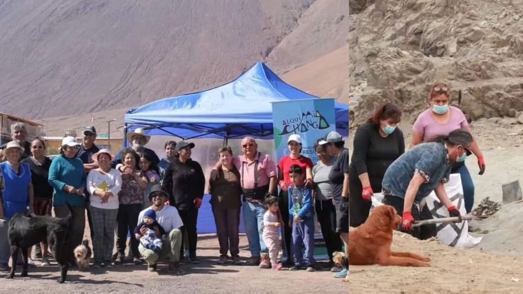 Operativo de limpieza Operativo de limpieza