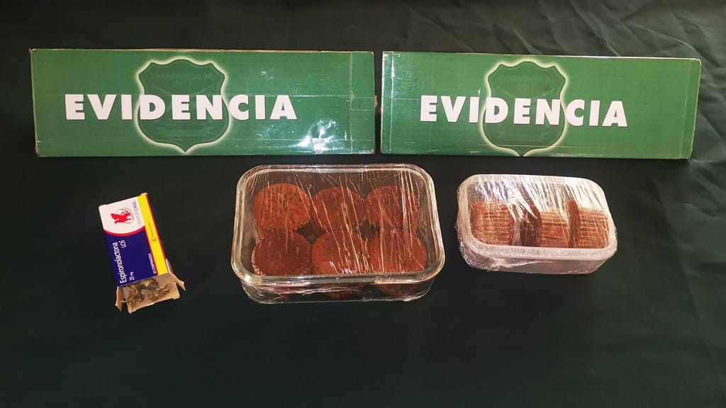 Evidencia Evidencia