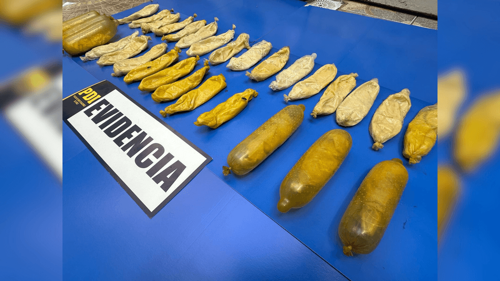 ovoides coca antofa ovoides coca antofa