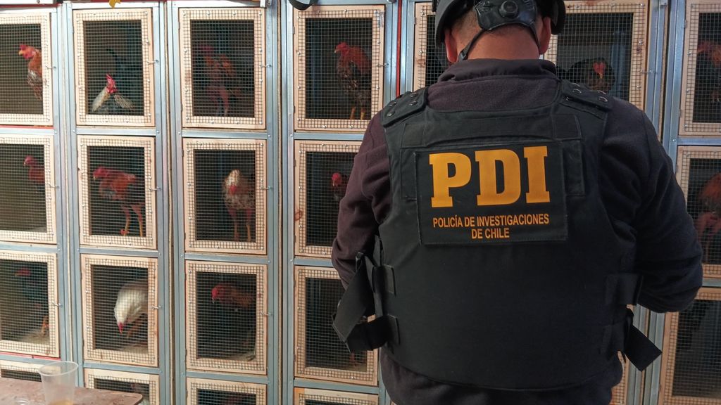 PDI Antofagasta PDI Antofagasta