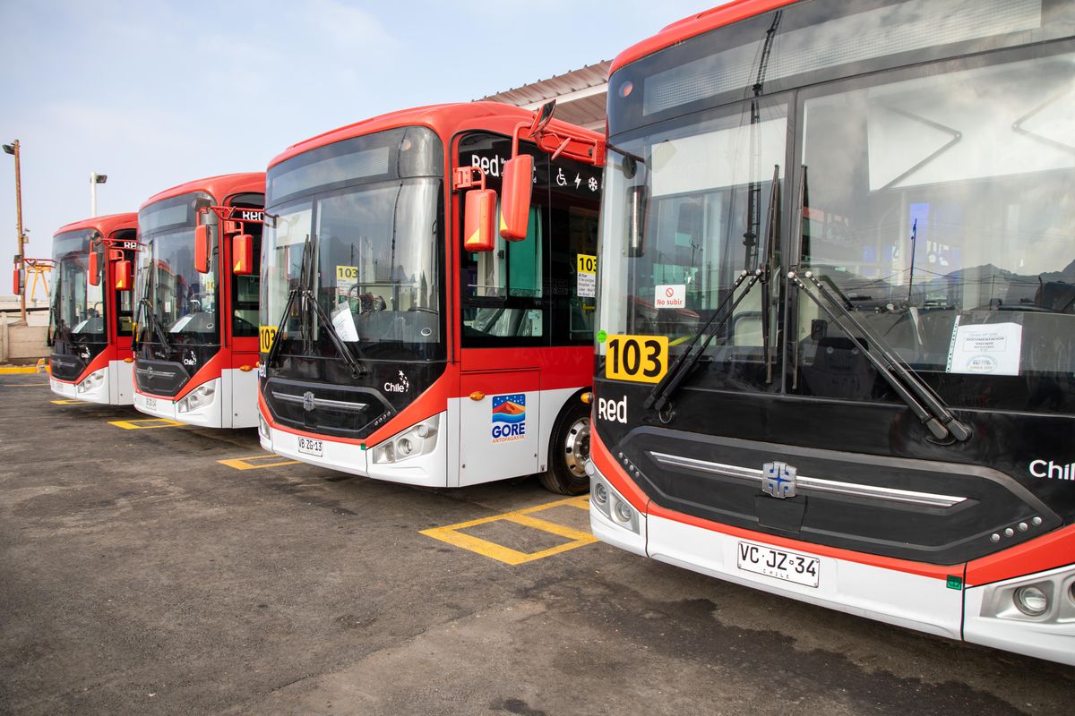 Buses Línea 103 Buses Línea 103