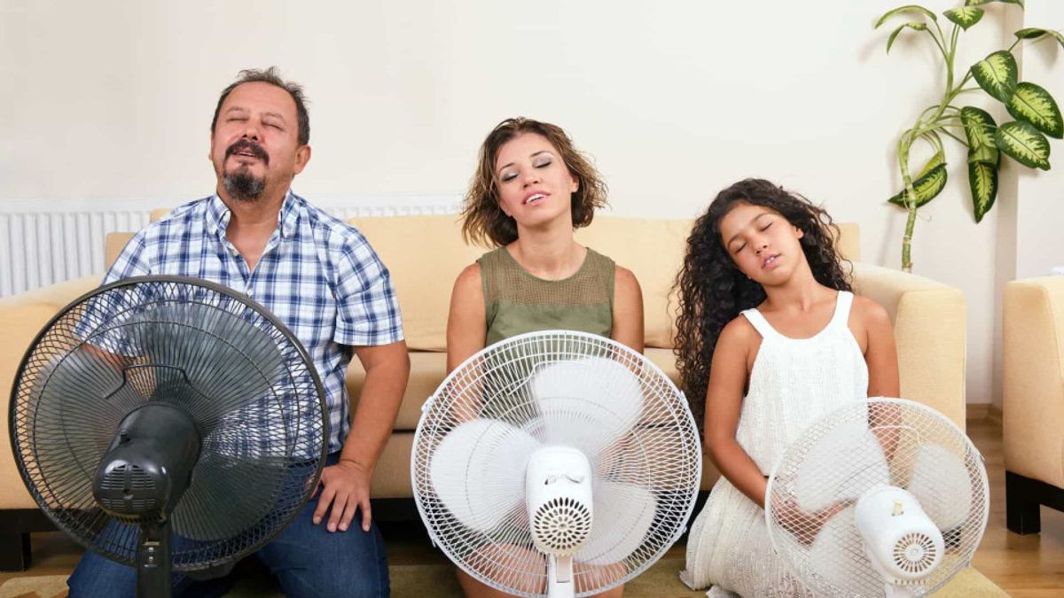 Calor Calor