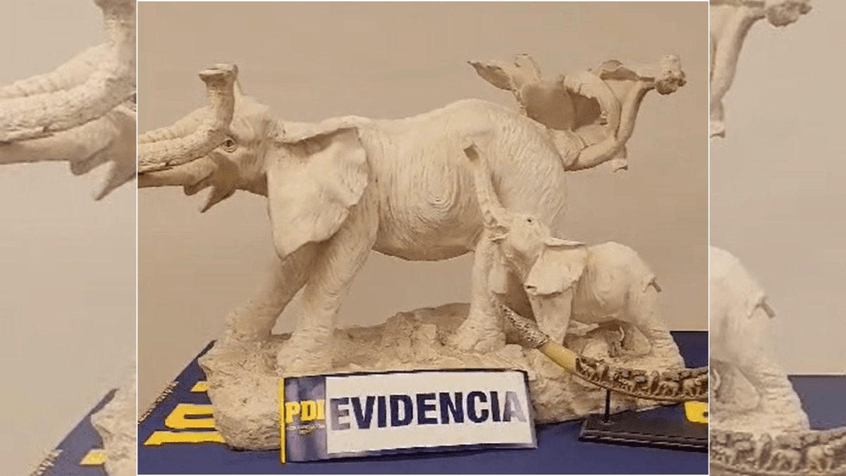 Biro Calama desarticula red de receptación y recupera bienes robados Biro Calama desarticula red de receptación y recupera bienes robados