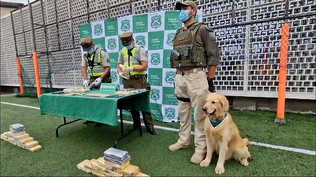 Carabineros Región de Antofagasta Carabineros Región de Antofagasta