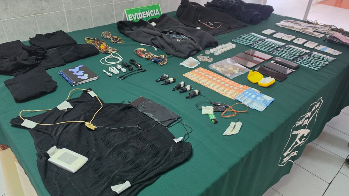 Sistema fraude licencias de conducir Sistema fraude licencias de conducir