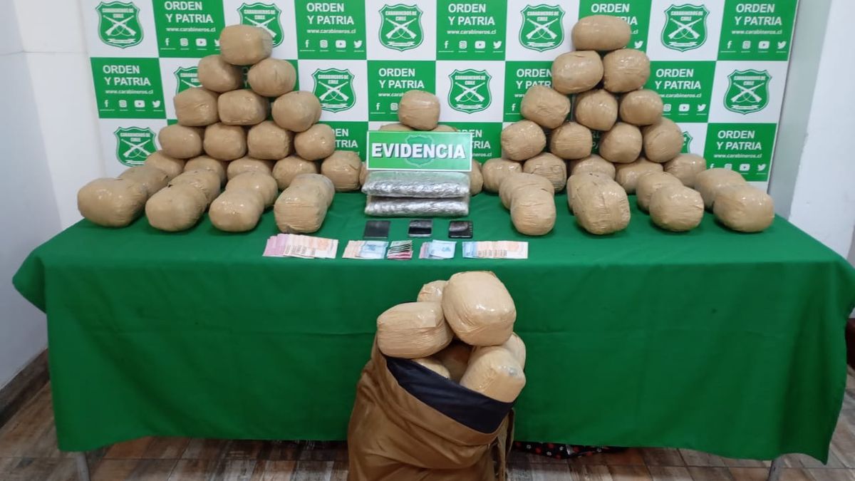 Incautan 80 kilos de marihuana en Antofagasta Incautan 80 kilos de marihuana en Antofagasta