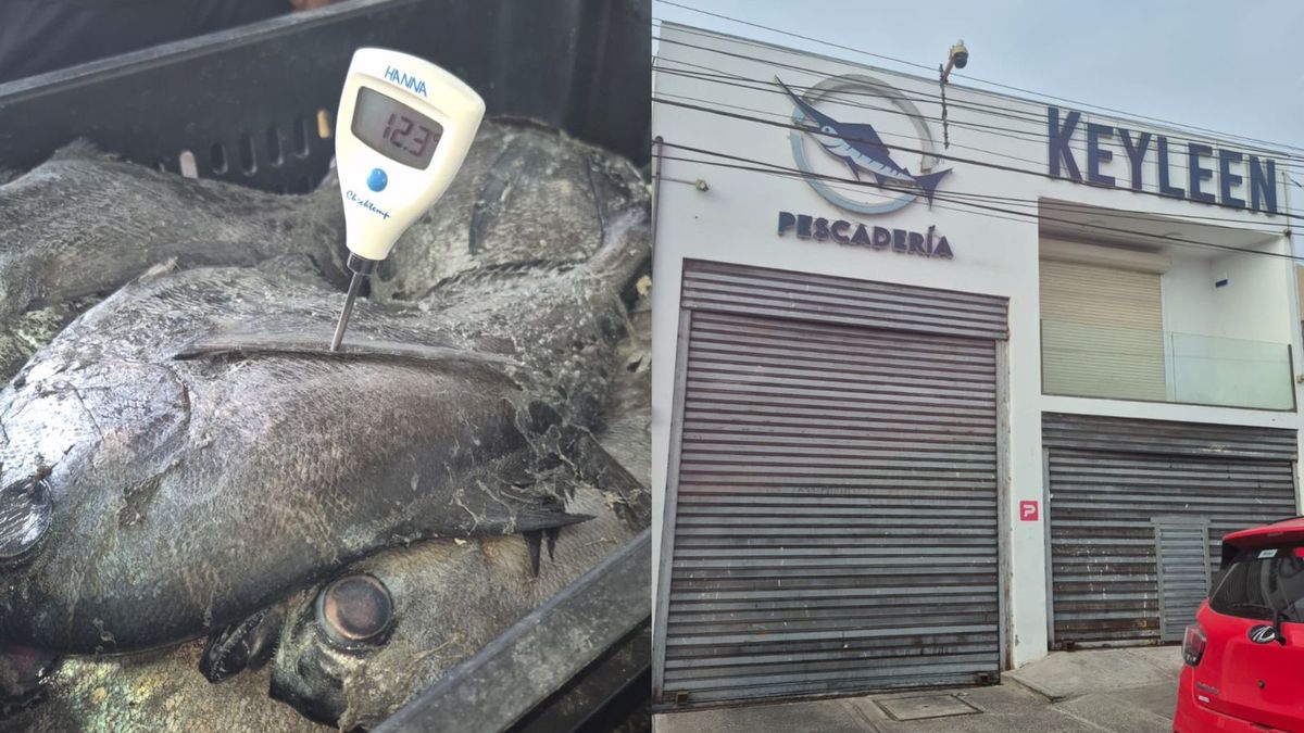 Sumario planta procesadora de pescados Sumario planta procesadora de pescados