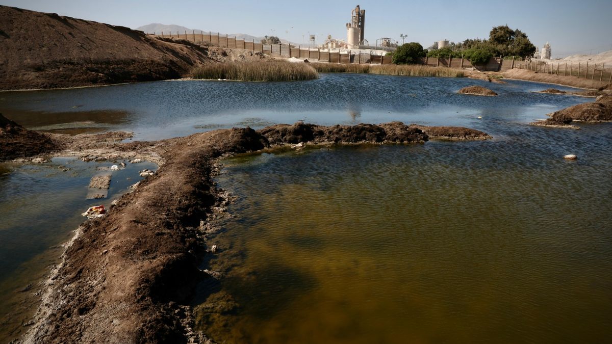 Humedal La Negra Humedal La Negra