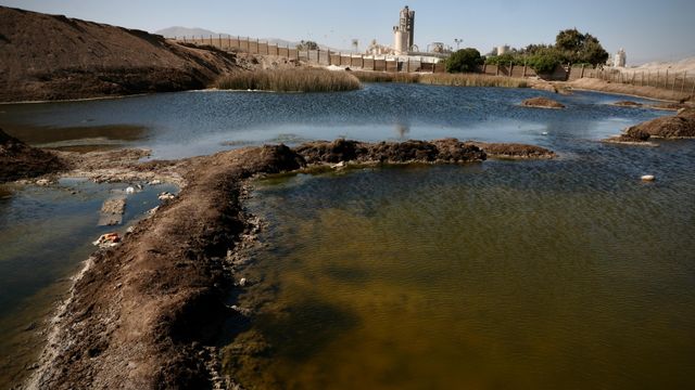 Humedal La Negra Humedal La Negra