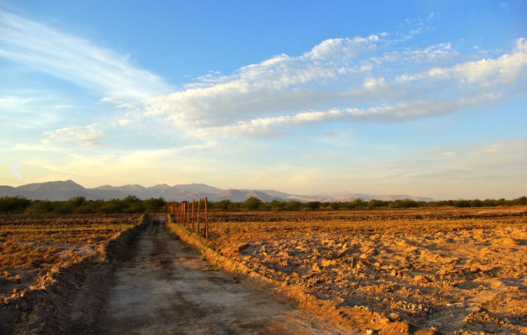 Parque Explora Lomas Parque Explora Lomas