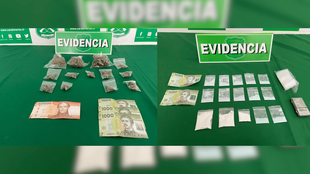 Incautan marihuana lista para la venta en Antofagasta Incautan marihuana lista para la venta en Antofagasta