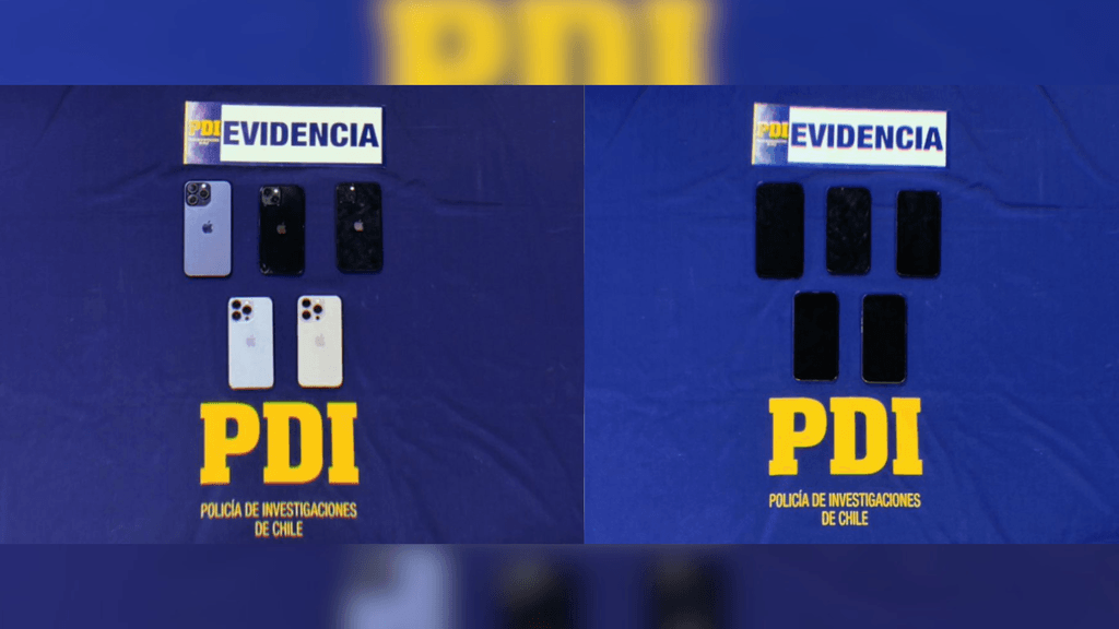 PDI celulares PDI celulares