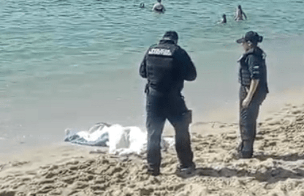 Captura de pantalla 2023-12-08 174632 Captura de pantalla 2023-12-08 174632