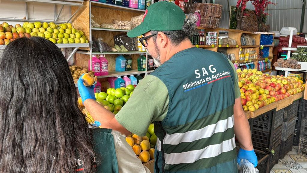 Fiscalización Feria Altos la Portada Antofagasta