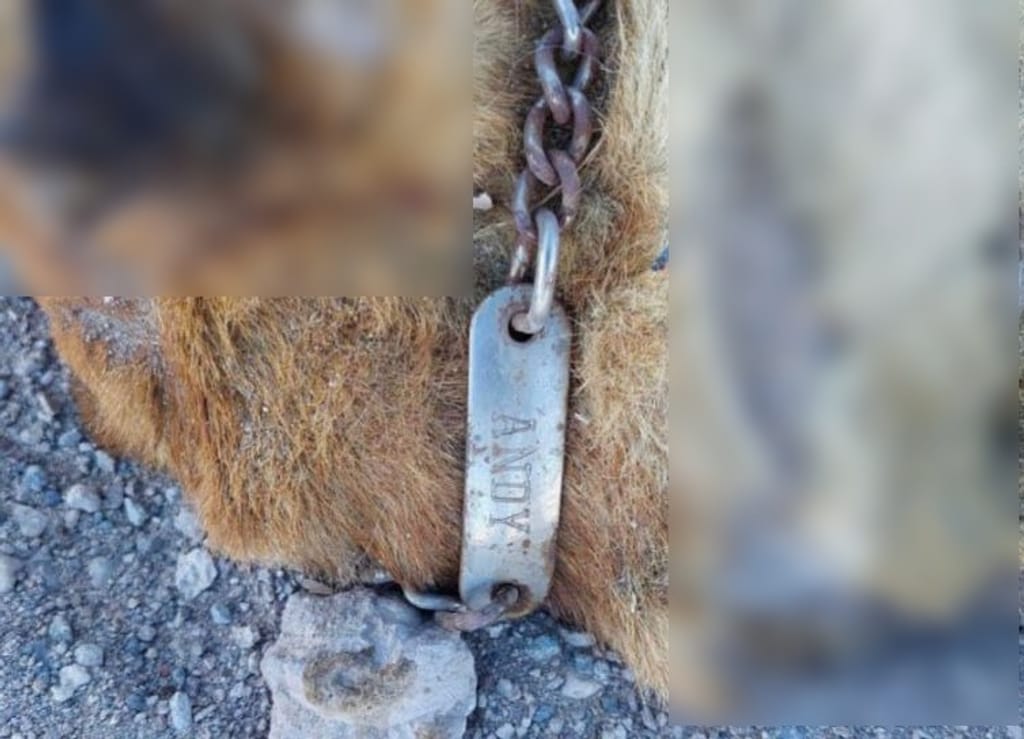 Hallazgo Calama Hallazgo Calama