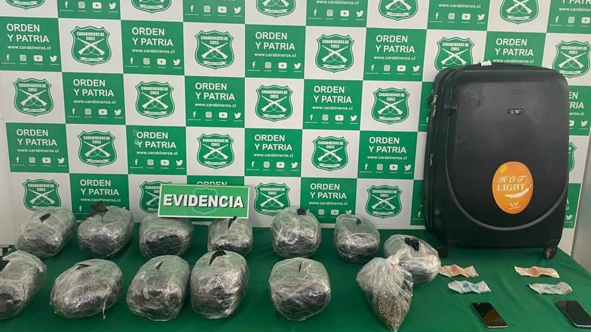 Incautación de droga por $77 millones en operativo del OS7 Incautación de droga por $77 millones en operativo del OS7
