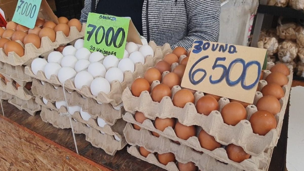 contrabando huevos