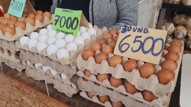contrabando huevos